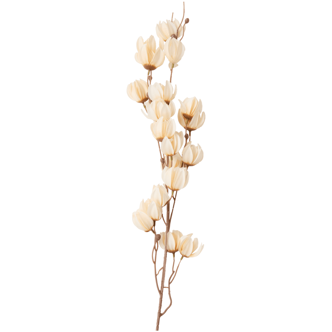 Branche de fleurs