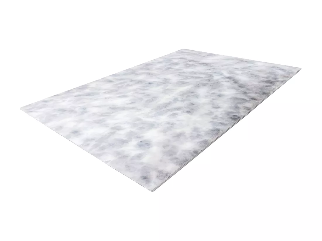 Tapis 230x160cm, design B005O coloris gris - Confort et élégance pour votre intérieur