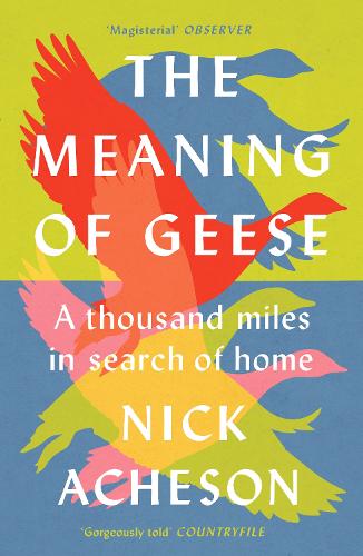 The Meaning of Geese: A Thousand Miles in Search of Home (Paperback)