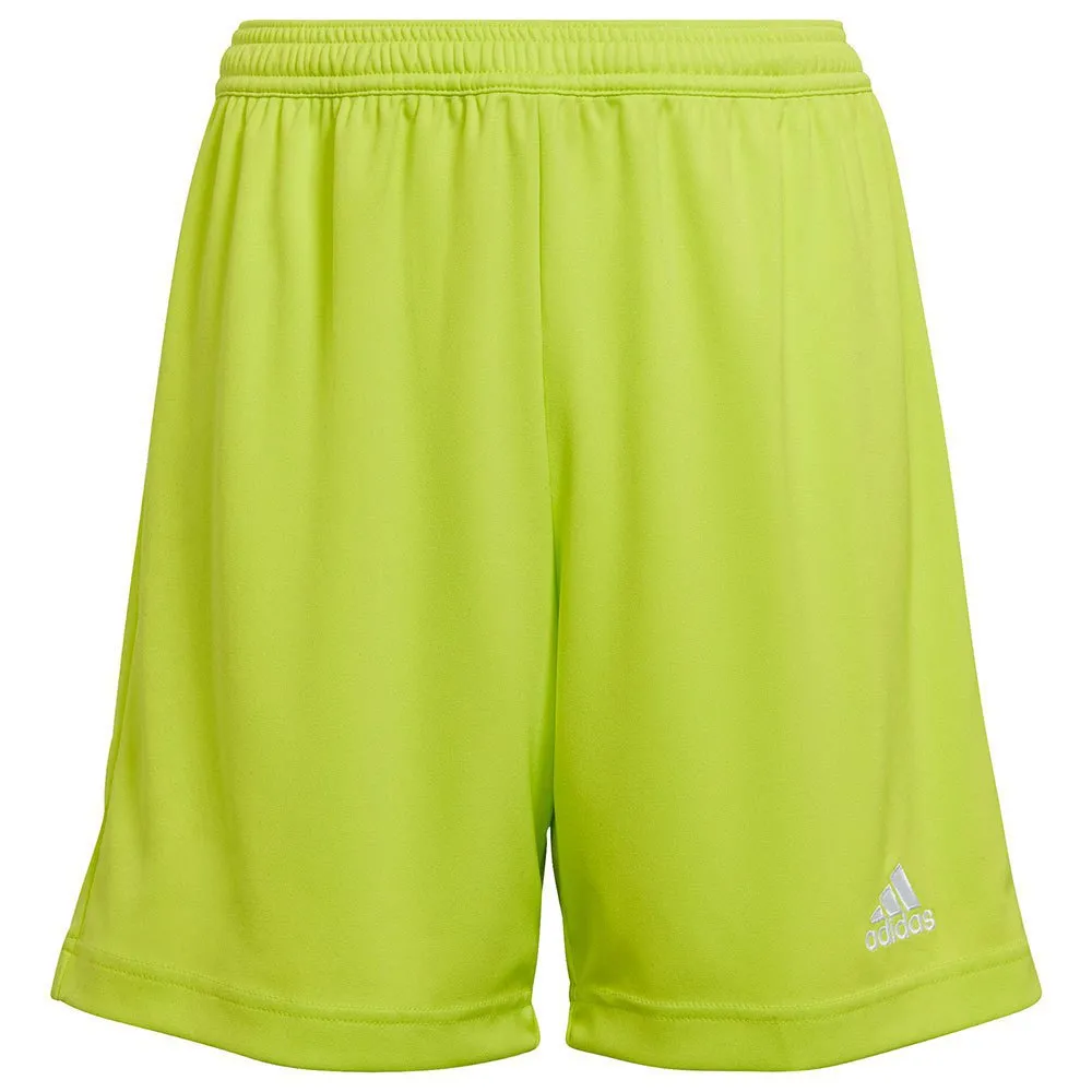 calções adidas Entrada 22
