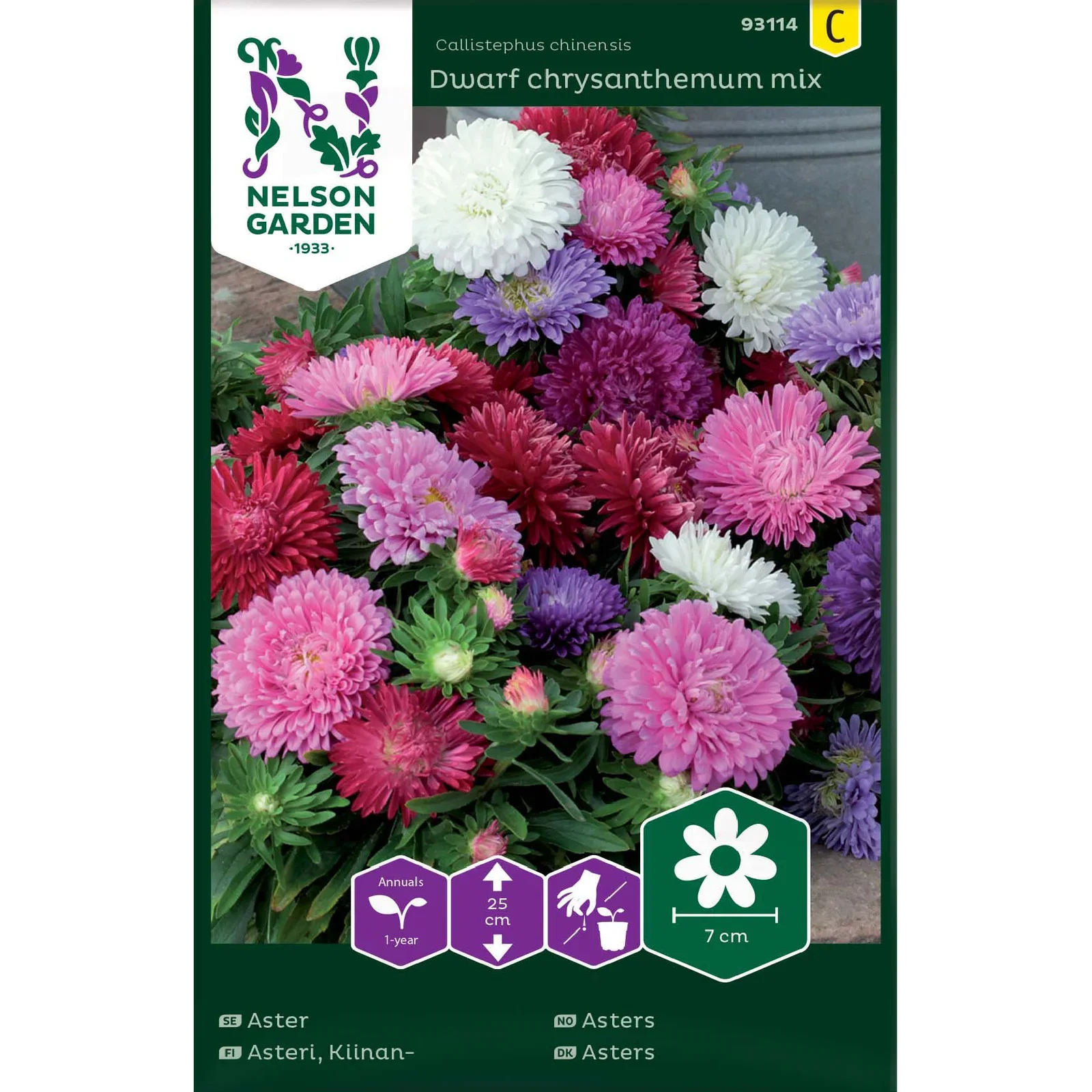 Callistephus chinensis Asters dwarf mix