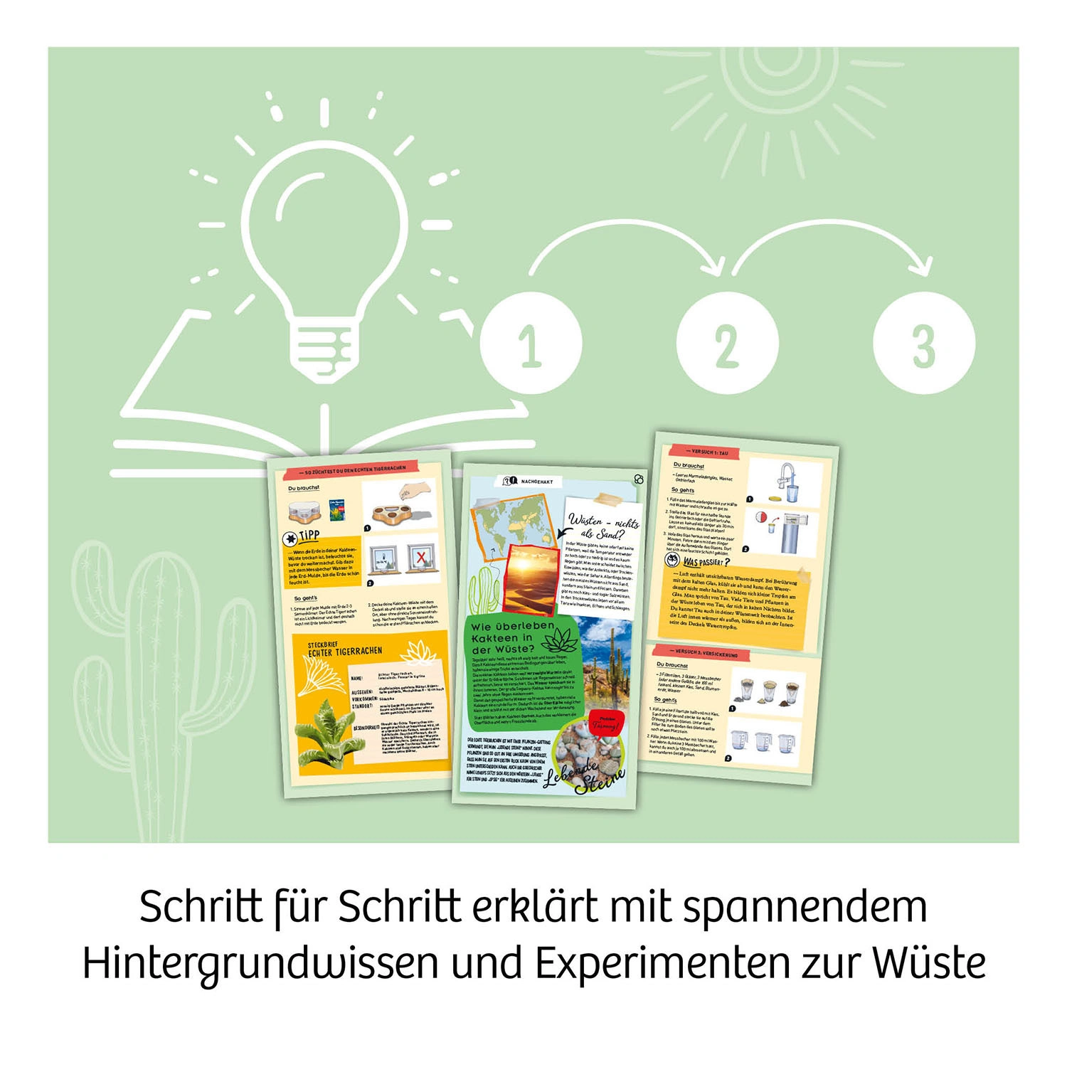 Experimentier-Set KAKTEEN-WÜSTE