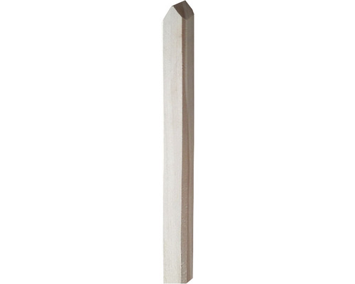 Plantenpaal 2,1x2,1x100 cm, lariks
