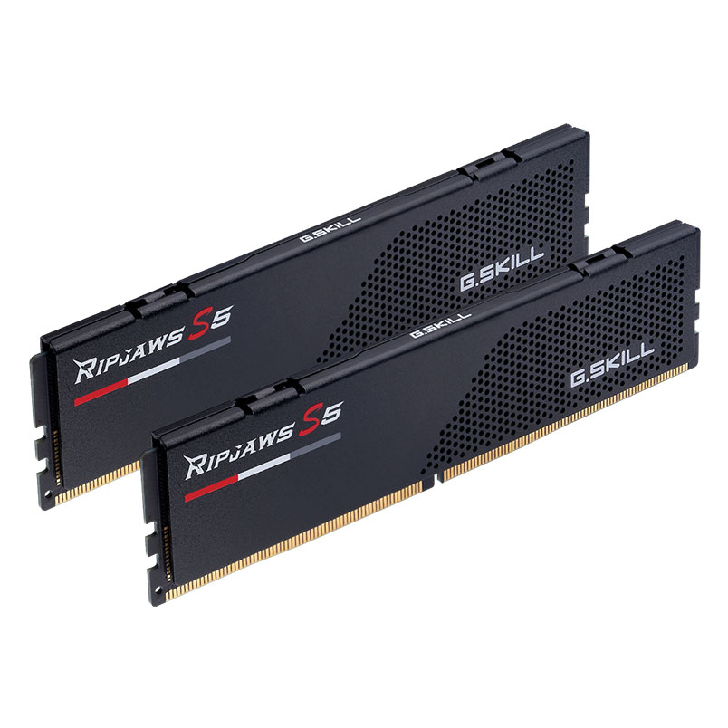G.Skill RipJaws S5 Low Profile 32 Go (2 x 16 Go) DDR5 5600 MHz CL28 - Noir