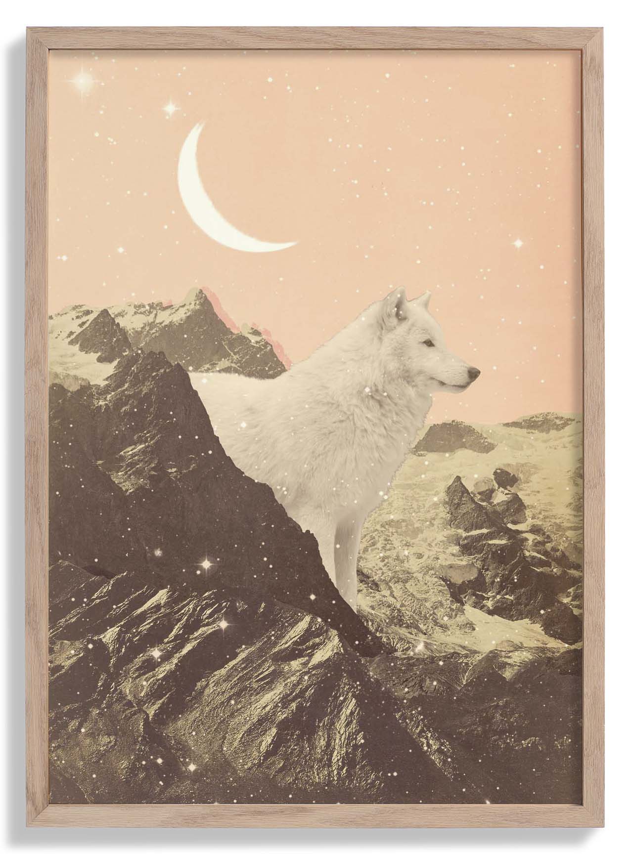 Riesiger weißer Wolf in den Bergen von Florent Bodart