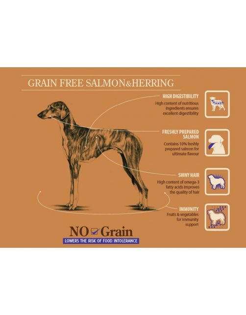 Sam's Field Adult High Meat & Grain Free Zalm&Haring - Hondenvoer