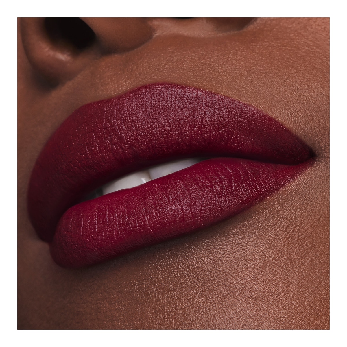 ESTEE LAUDER Pure Color Rouge à Lèvres Mat