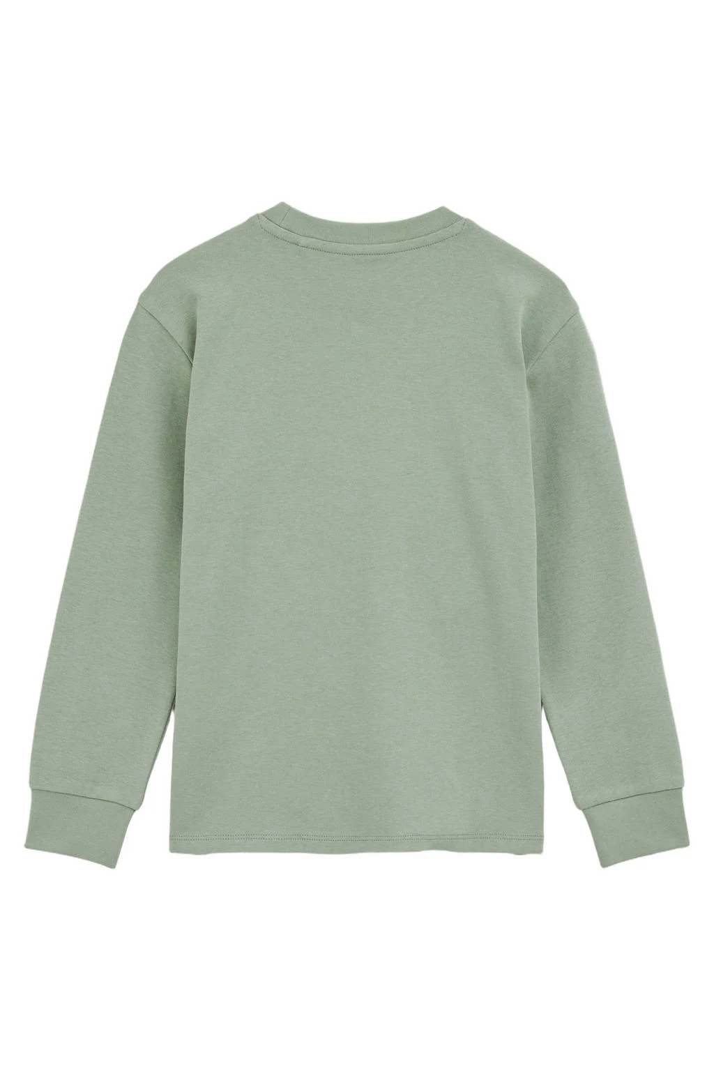 WE Fashion longsleeve saliegroen
