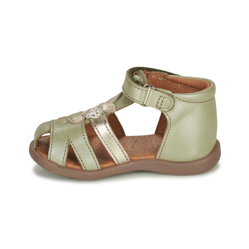 GBB - ENITA - Kaki