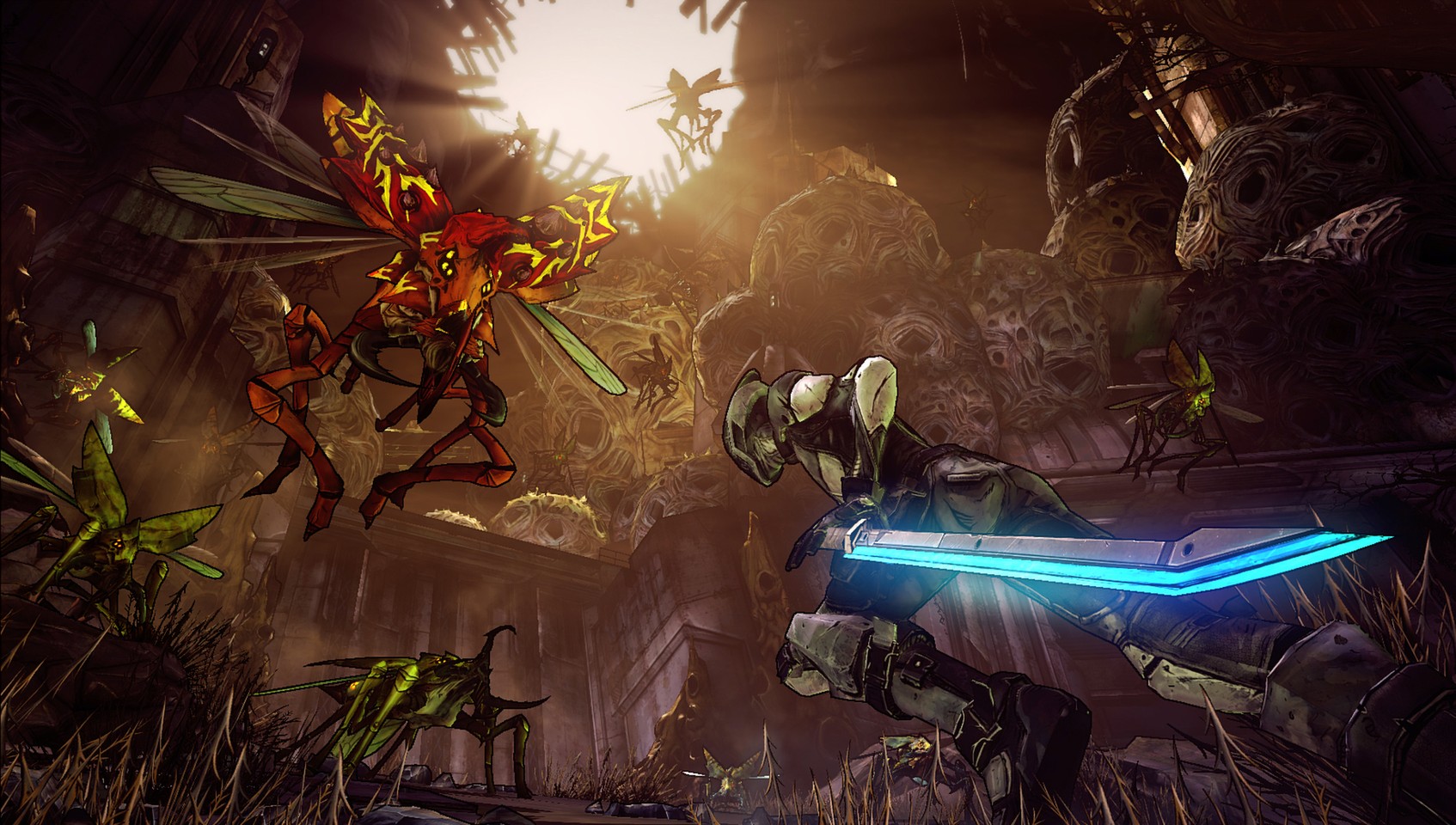 Borderlands 2- Mac