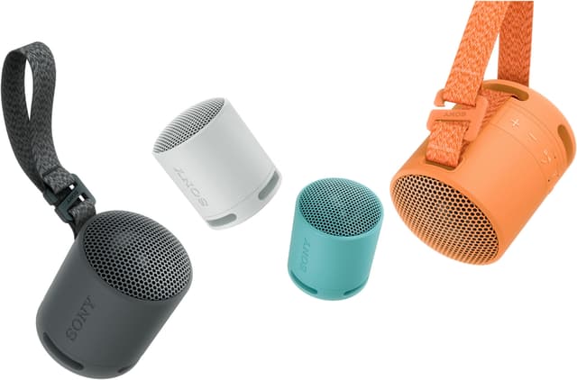 Sony SRS-XB100 trådløs bærbar højttaler (sort)