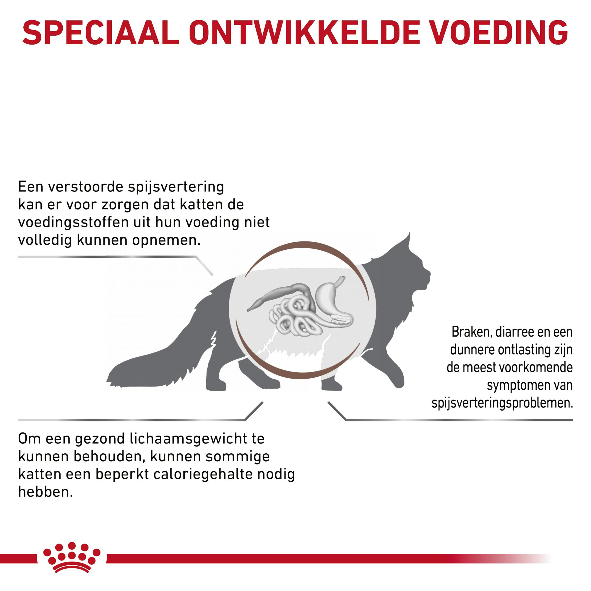 Royal Canin Gastrointestinal Moderate Calorie Kat