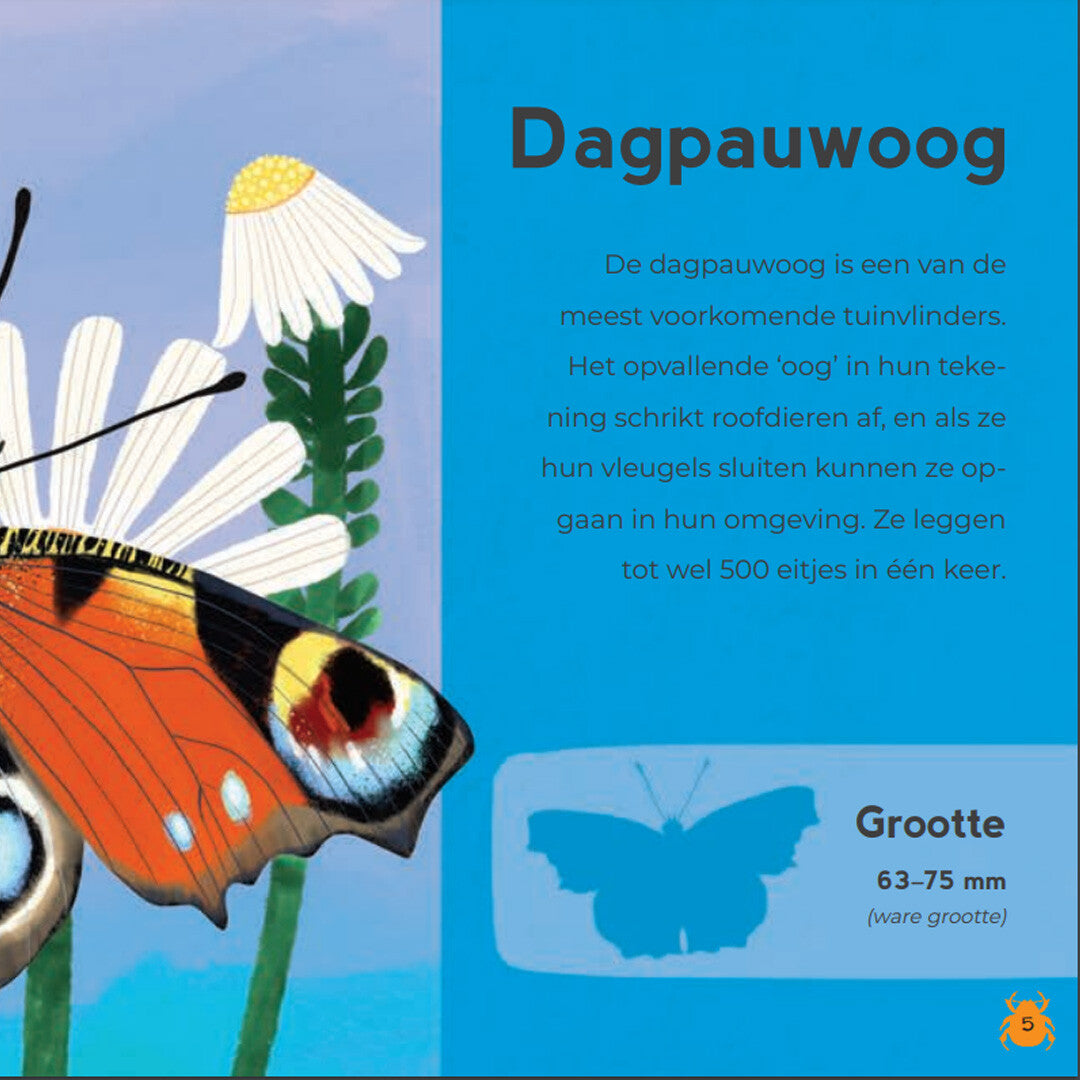 Uitgeverij lemniscaat mijn eerste kriebelbeestjesboek