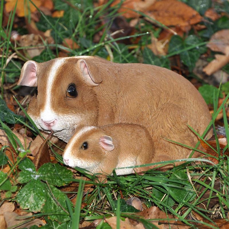 Dazikemo Meerschweinchen Mutter+Kind