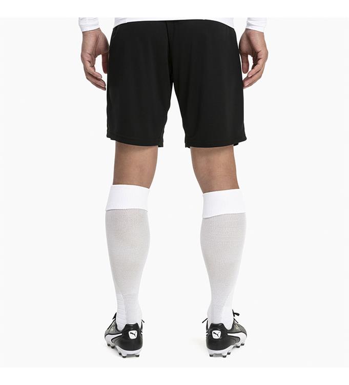 PUMA Men TeamLIGA Voetbalsokken