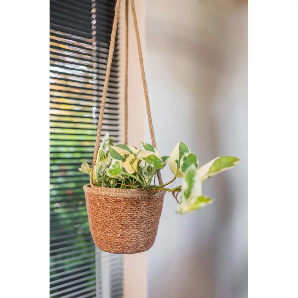 Ter Steege Hangende plantenpot - D17 x H14 cm - bruin