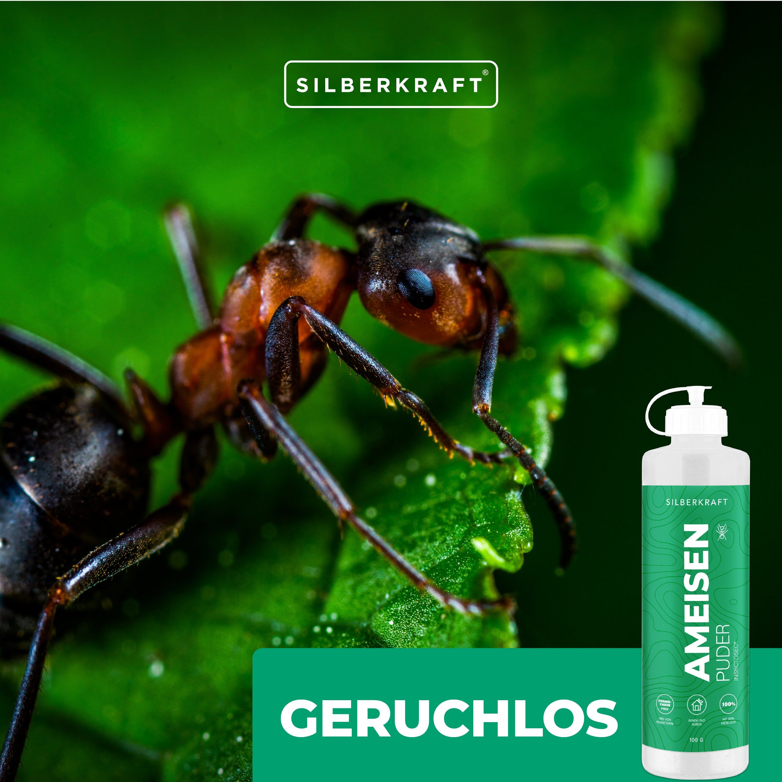 SILBERKRAFT Anti Ameisenpulver