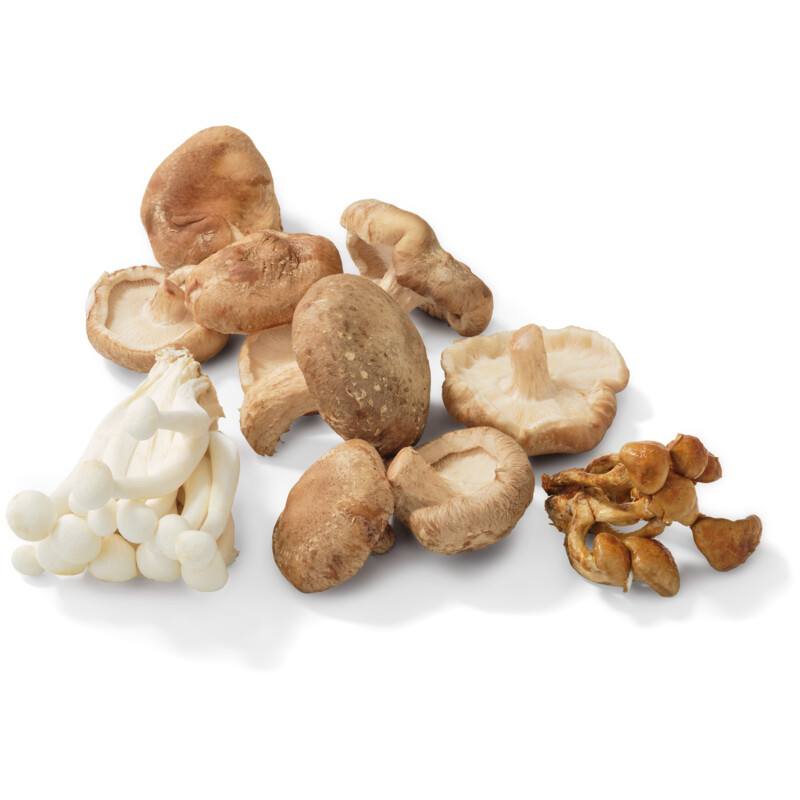 AH Paddenstoelen voor wokgerecht en noedels