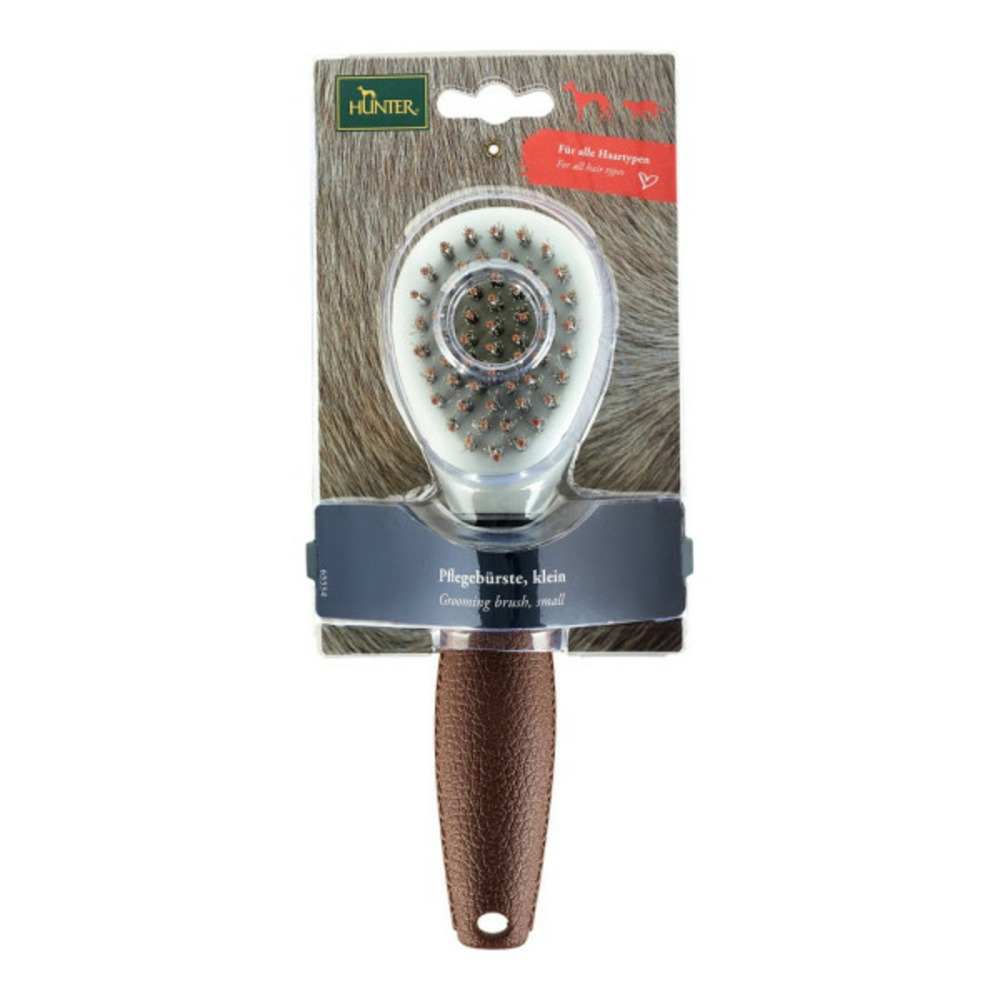Brosse pour enlever les poils