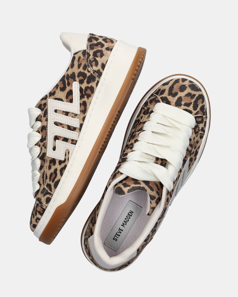 Steve Madden Alysha Lage sneakers  - bruin