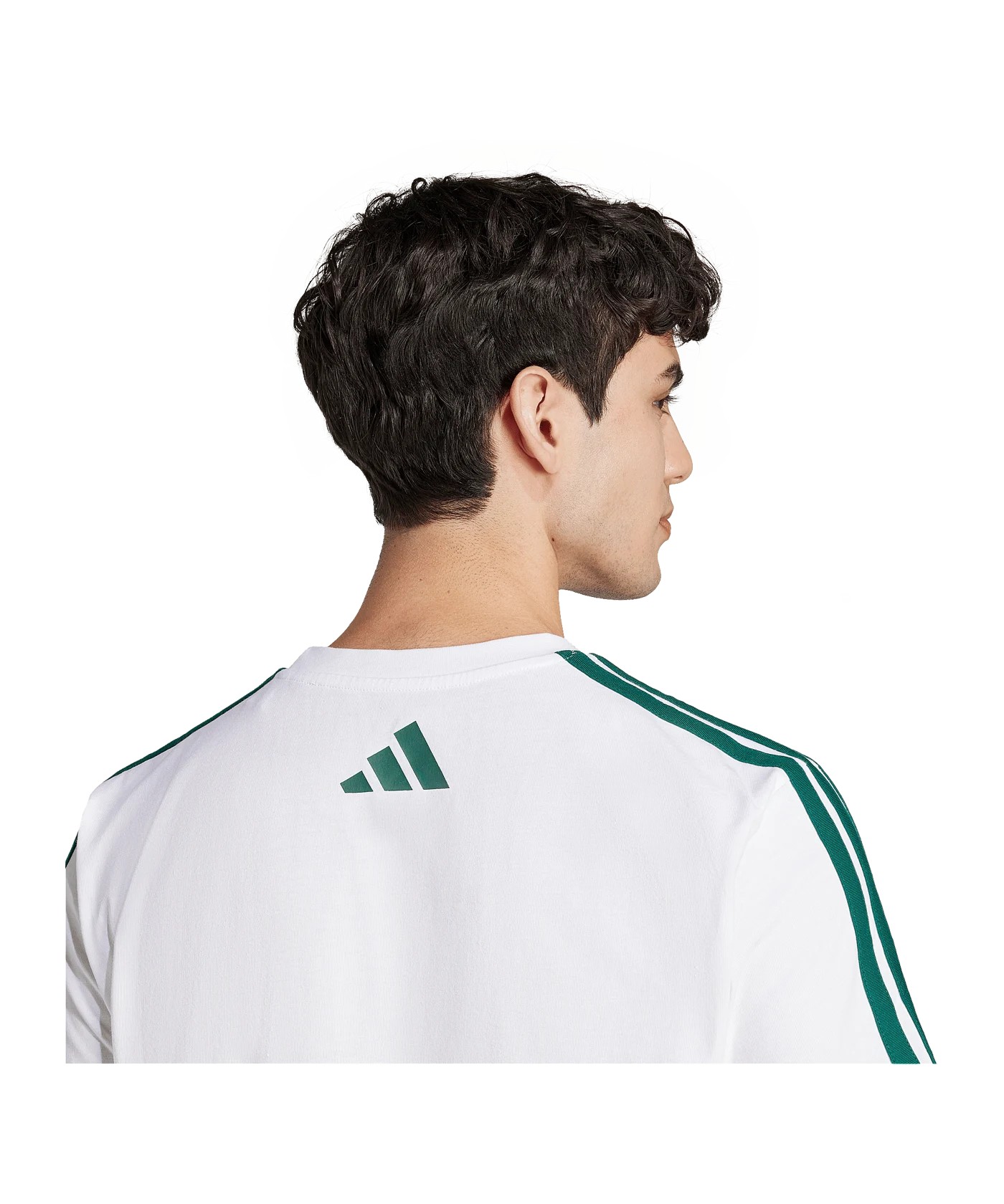 adidas Codes Collegiate Linear T-Shirt Weiss