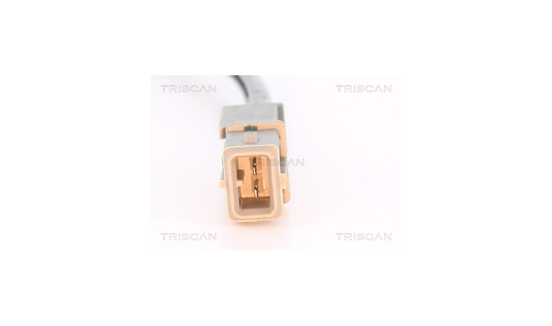ABS sensor