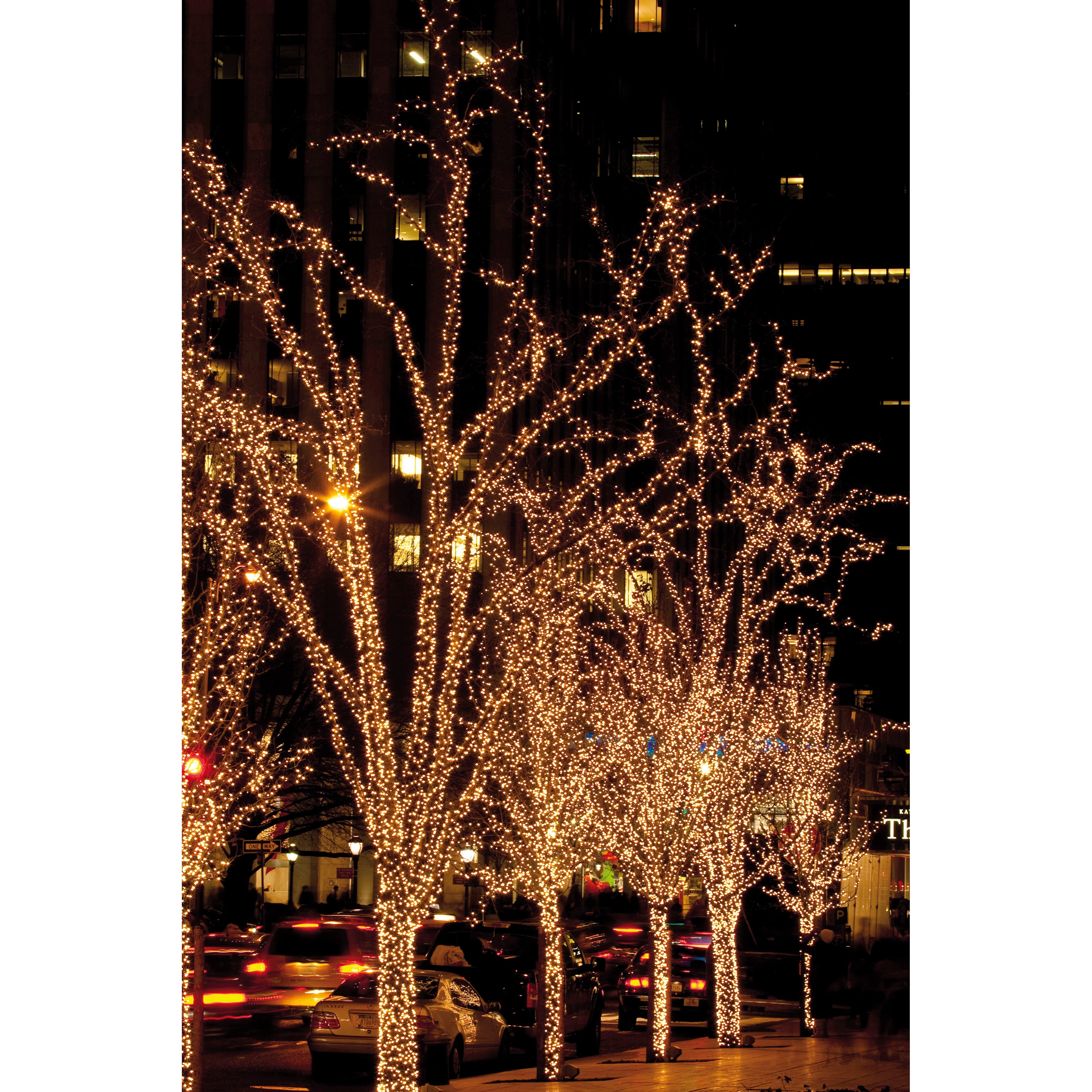 Showtec LED Rubber Twinkle Light (warm wit) - 20 meter