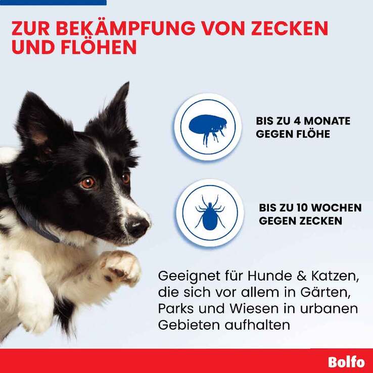 Bolfo Zecken- und Flohschutzband für Katzen und kleine Hunde, 1 St
