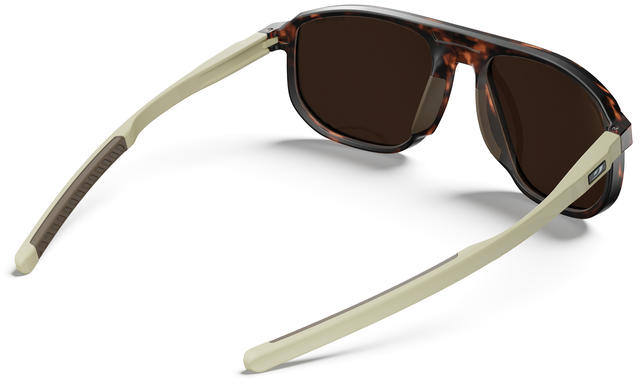 Julbo Ward Spectron 3 Polarized