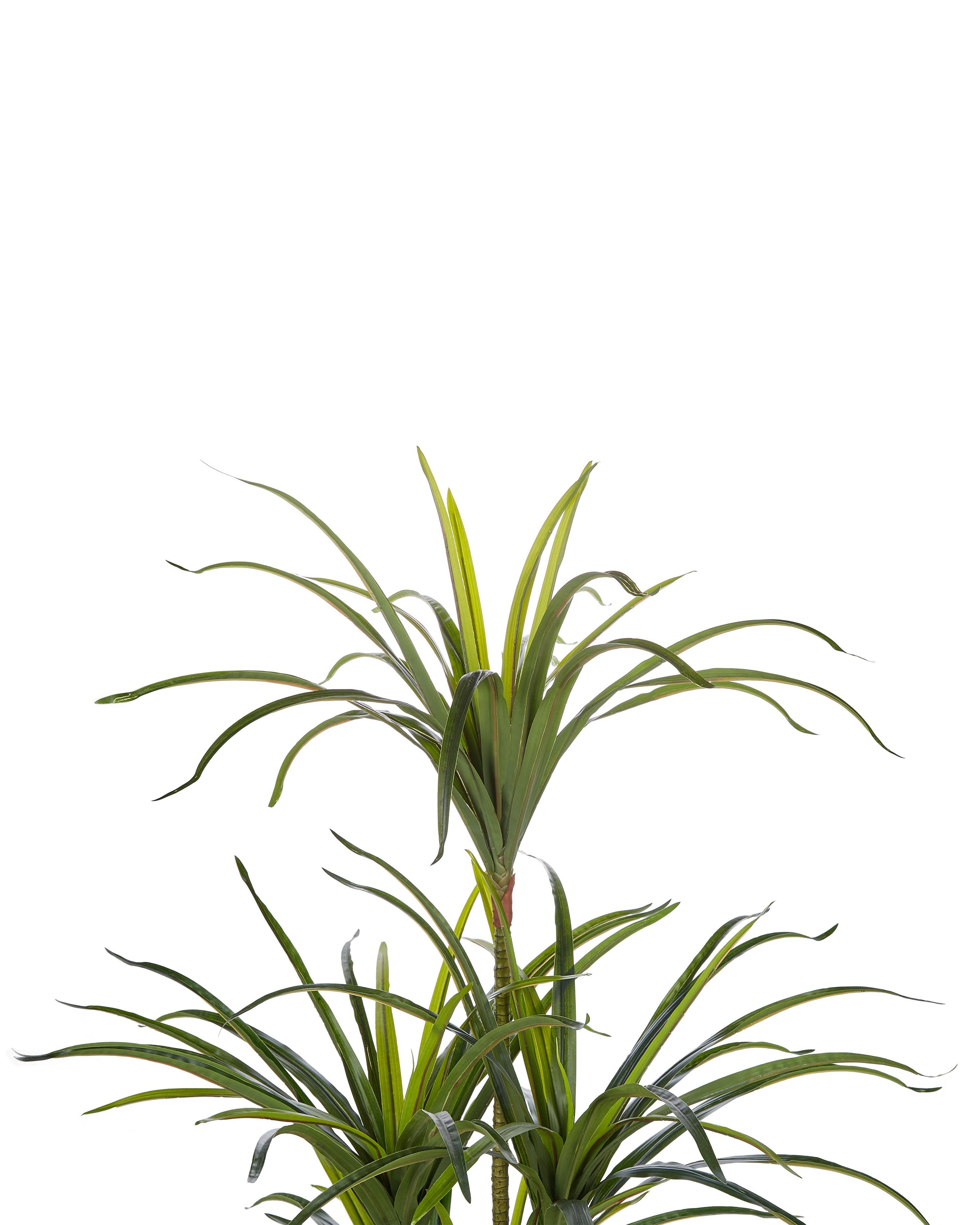Kunstplant DRACAENA ANITA 147 cm Groen