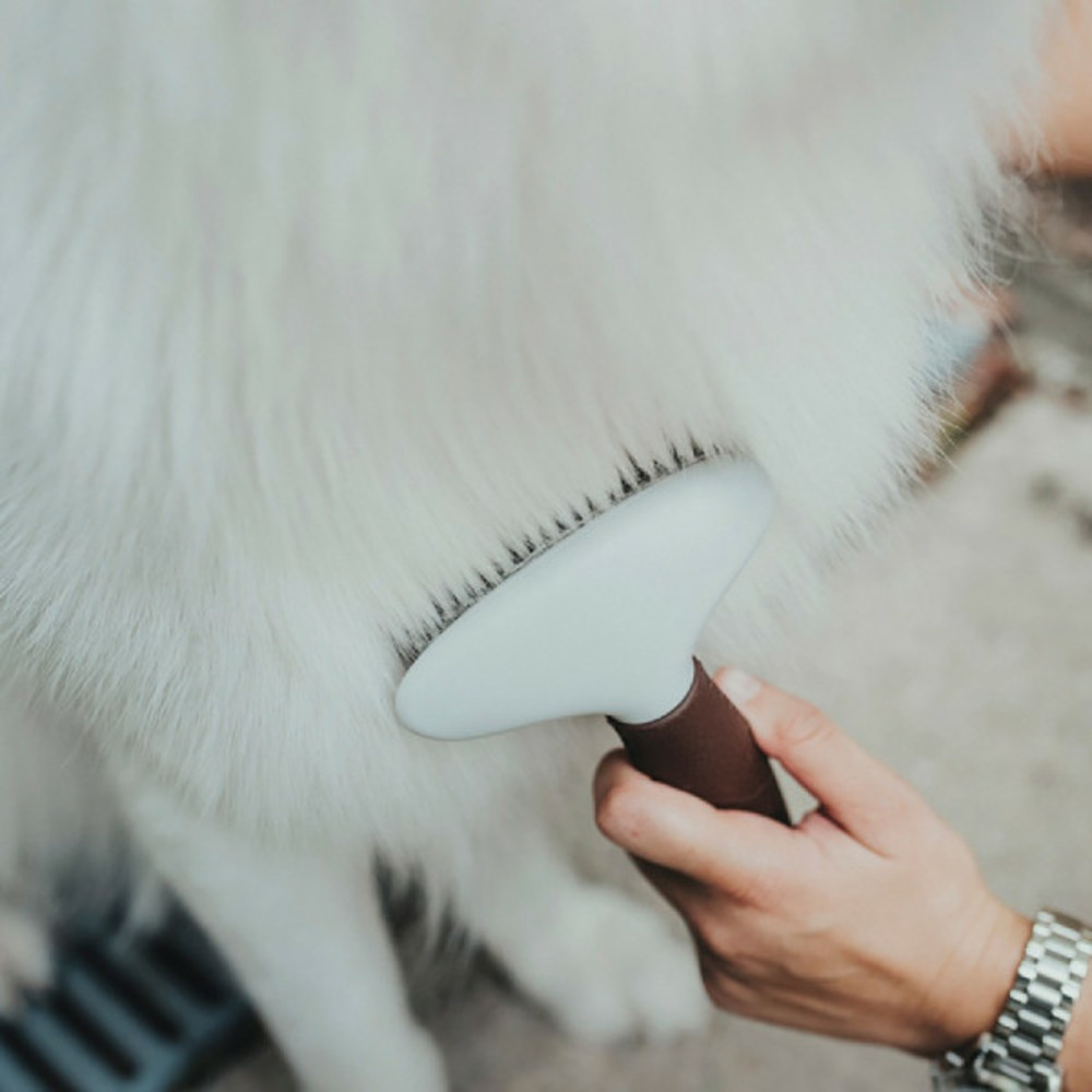 Brosse démêlante râteau