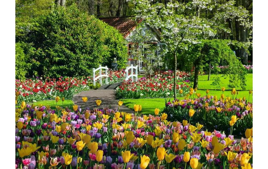 Puzzle Keukenhof Gardens, NetherlandsPuzzle für Erwachsene und Kinder