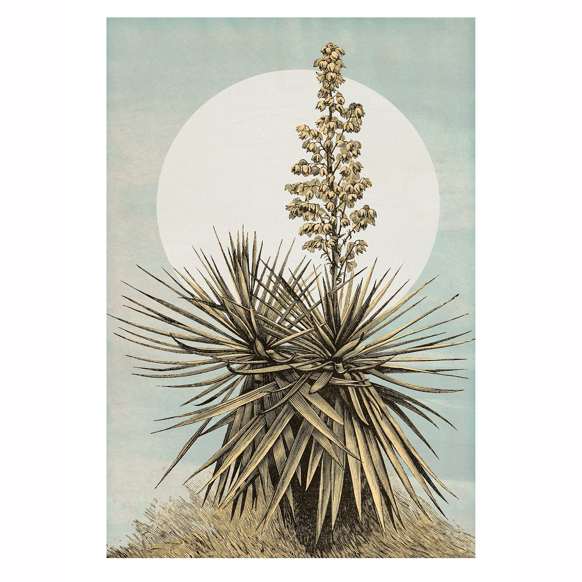 Wandbild PLANS DE LAGON - bunt - 50x70 cm