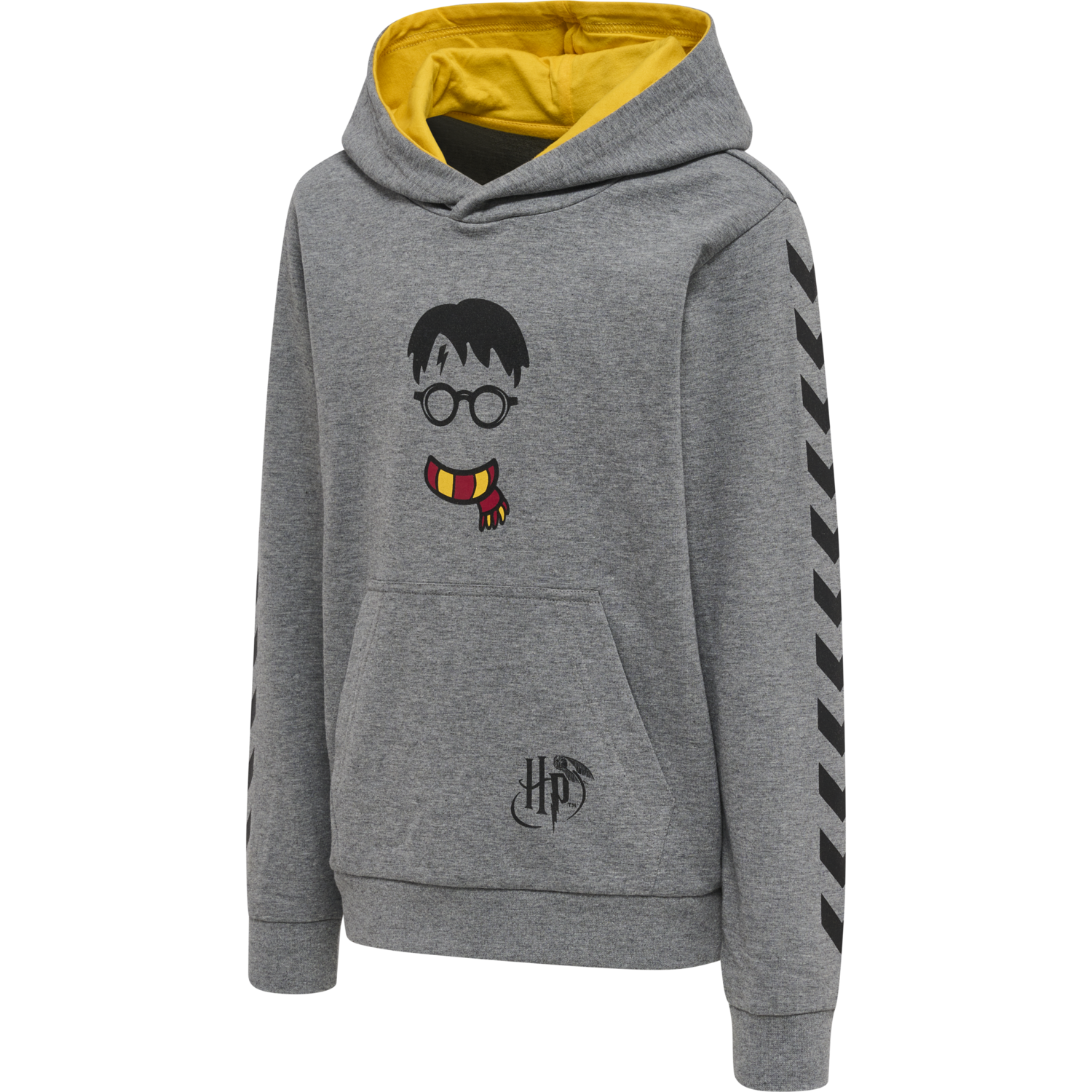 hmlHARRY POTTER CUATRO HOODIE