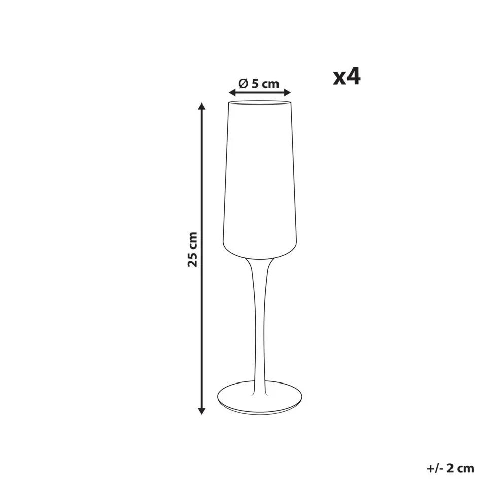 QUARTZ - Champagne glazen set van 4 - Grijs - Glas