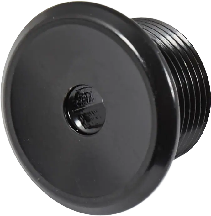 Salt Plus BMX Forgaffel Top Cap Bolt | SkatePro