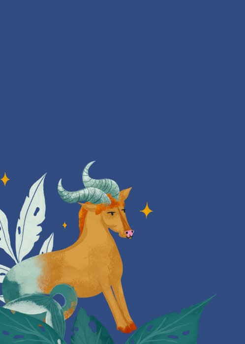 Greetz | Verjaardagskaart | steenbok