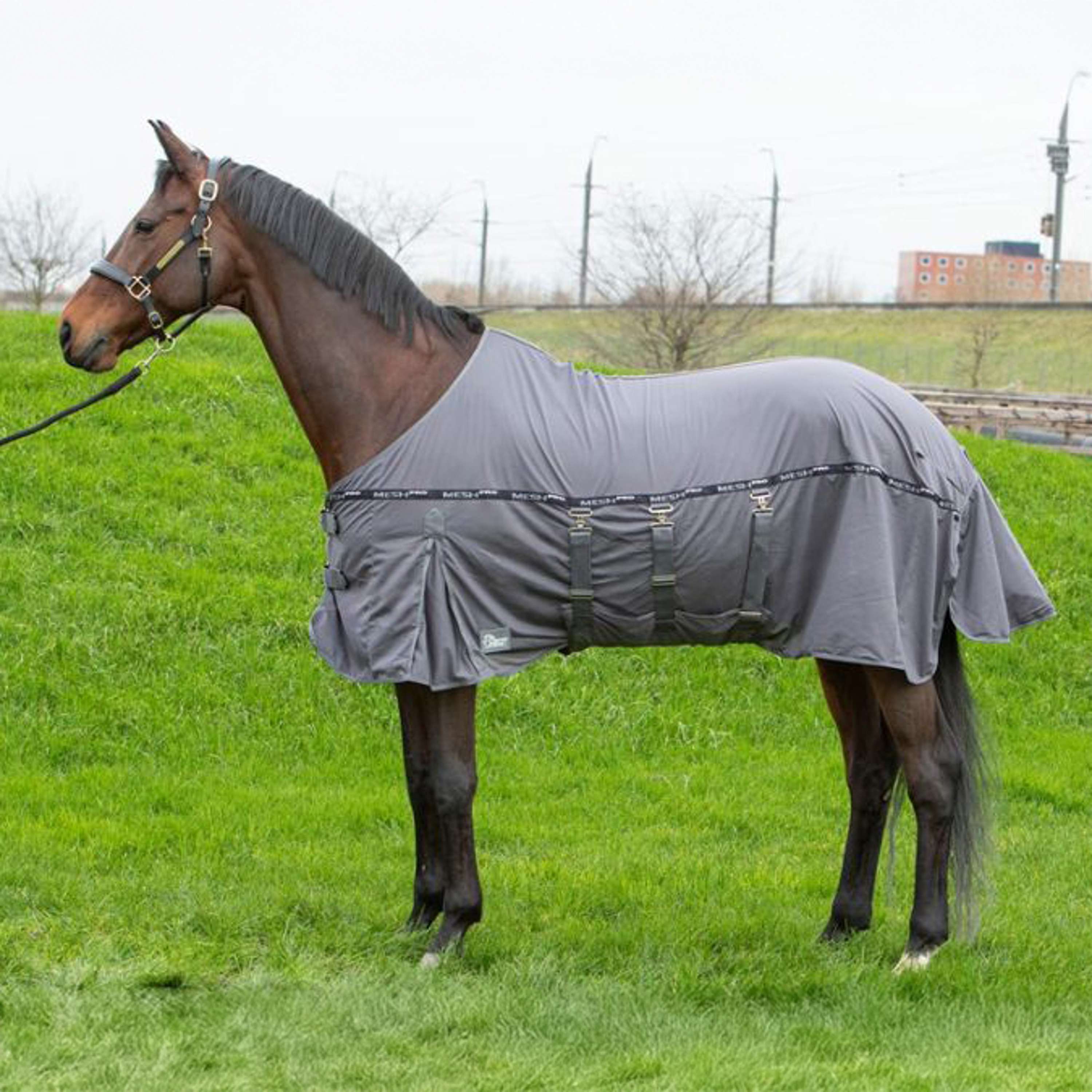 Harry's Horse Vliegendeken Mesh Pro Belly Grijs