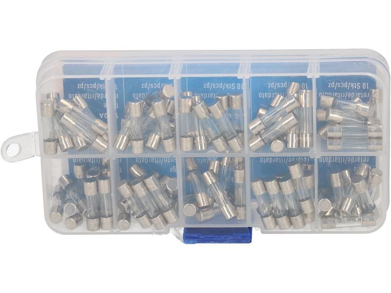 Max Hauri Schmelzsicherung Set 5 x 20 mm Träge, 100 Stück Schmelzsicherungs-Set (Feinsicherung, Träge (T))