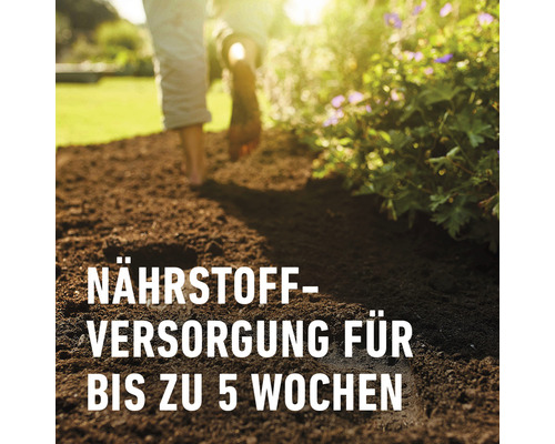 Universele grond COMPO BIO 30 L 100% turfvrij