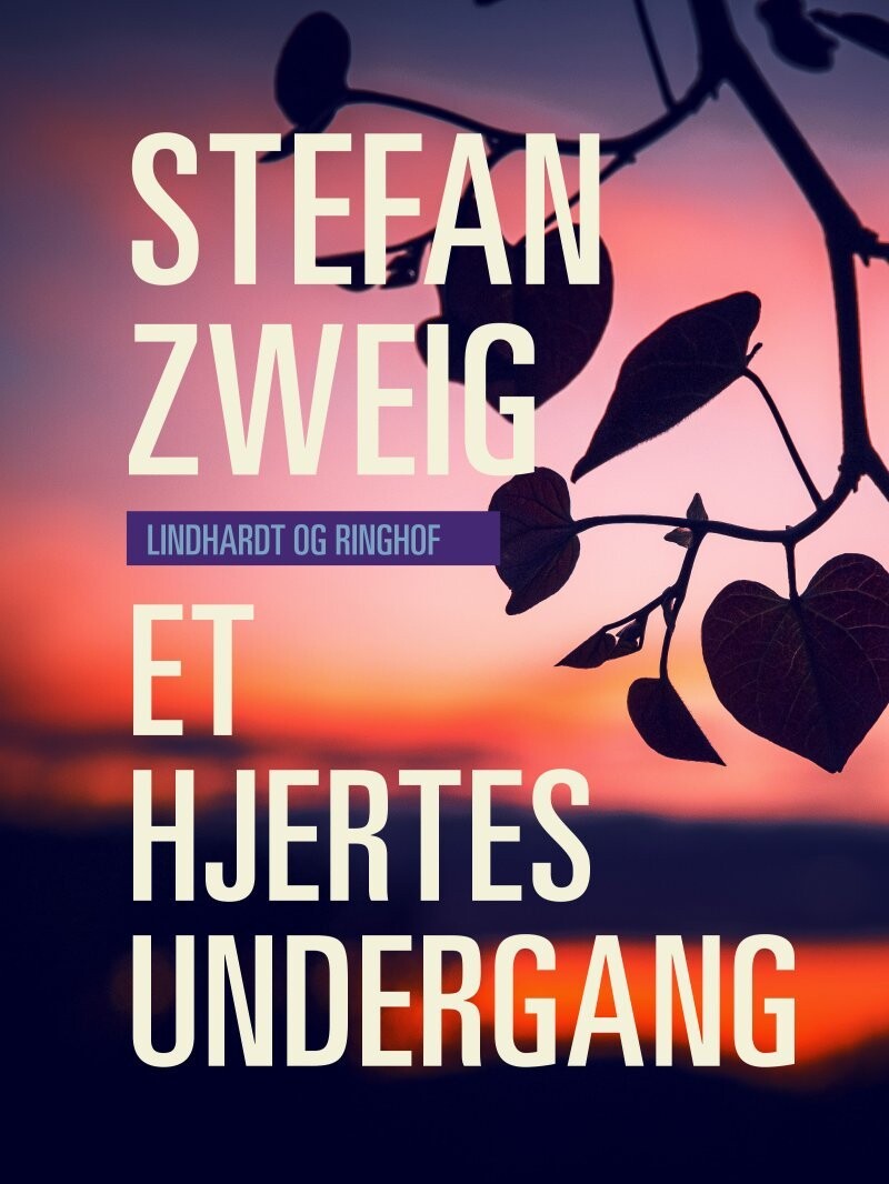 Et Hjertes Undergang - Stefan Zweig - Bog