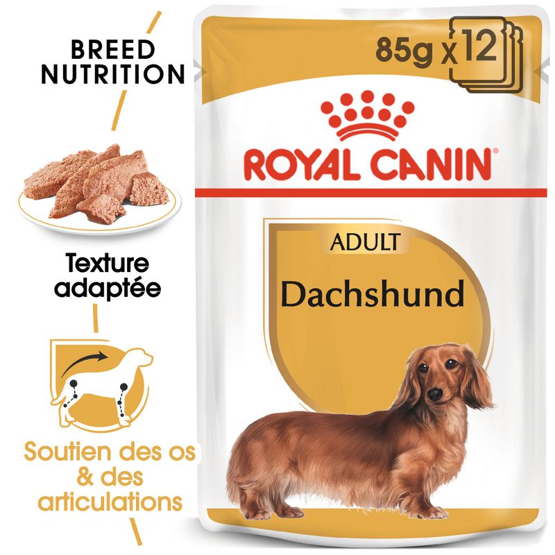 Royal Canin Teckel en mousse