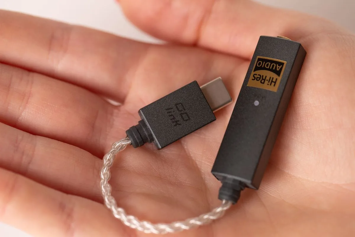 iFi Audio Go Link DAC Audio portables