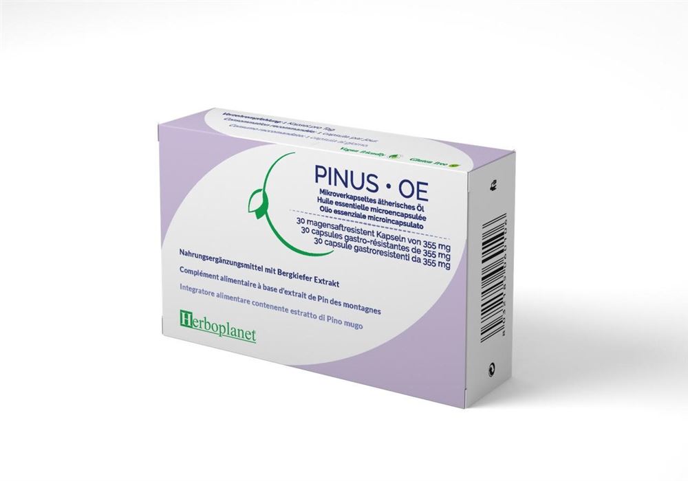 HERBOPLANET Pinus OE 355 mg<br>30 Stück, Blister, Kapsel