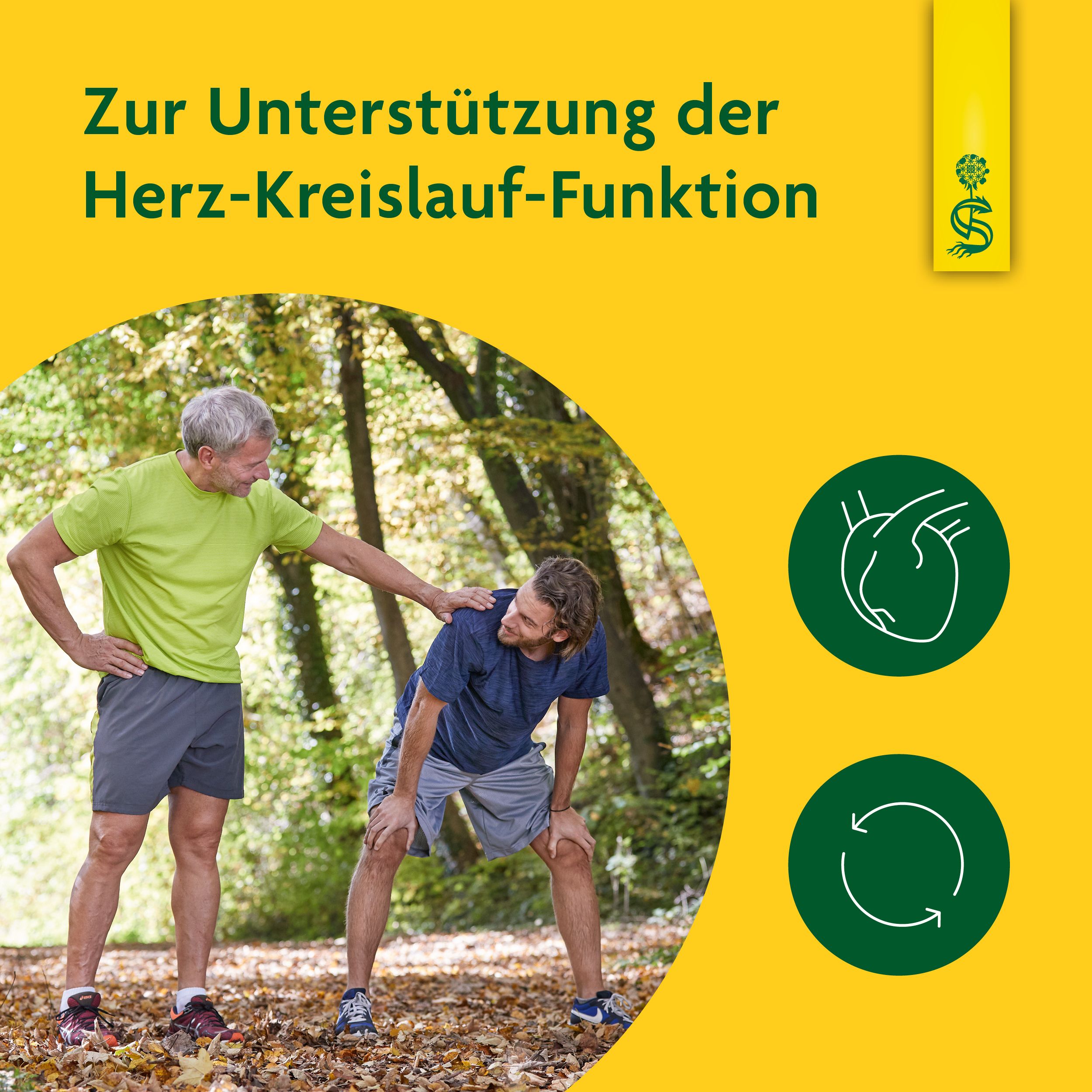 Schoenenberger® Heilpflanzensaft Weißdorn