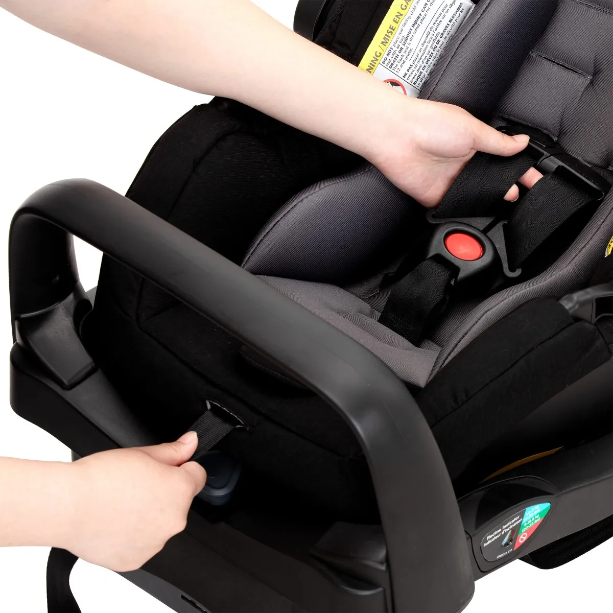 Evenflo Système de Voyage Pivot Xpand - Noir Ayrshire