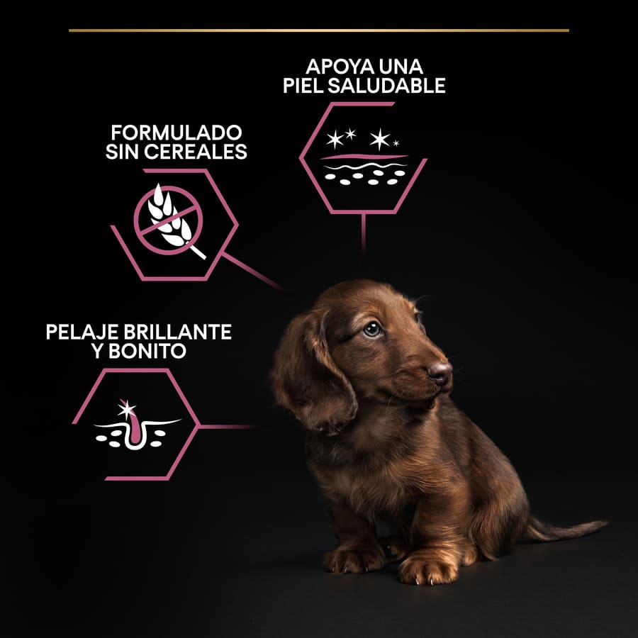 Pro Plan Puppy Small and Mini Salmon Dog Food Skin