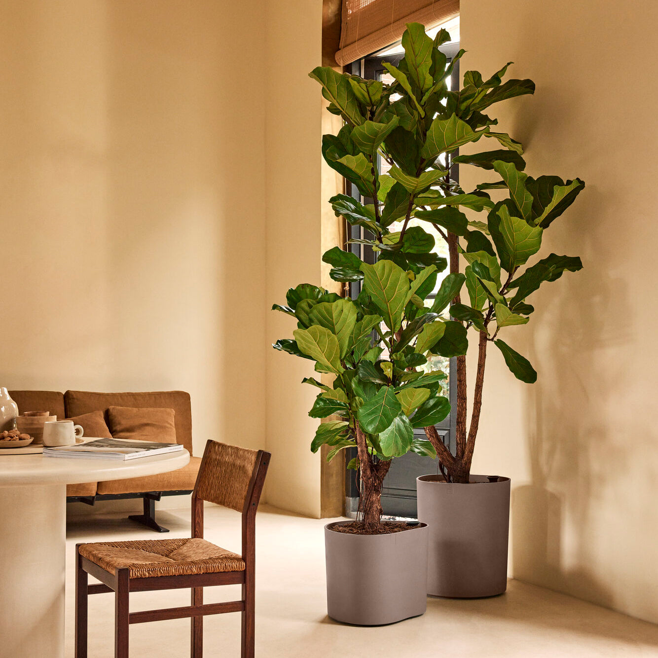 Elho Eden Aquacare Medium 40 - Zacht taupe - L 42 x B  x H 42 cm - Binnen en Buiten - 100% gerecycled kunststof