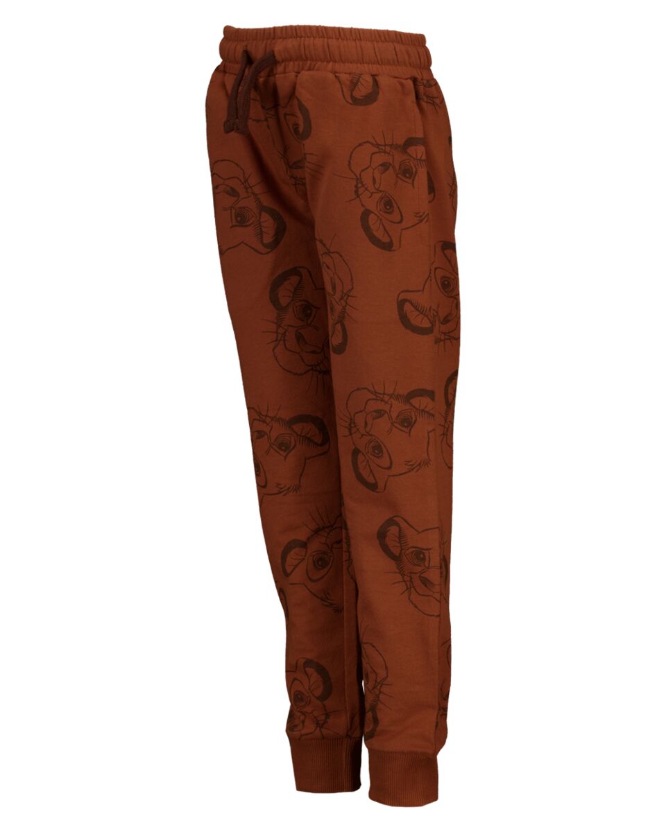 Broek - Bruin