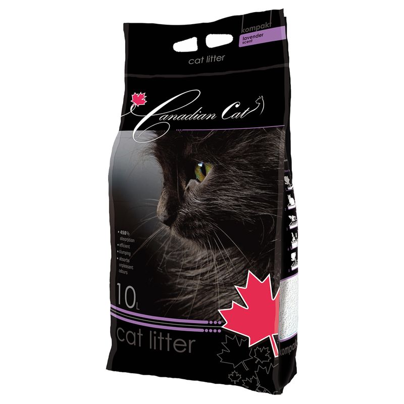 Benek chat canadien lavande ✓ pas cher